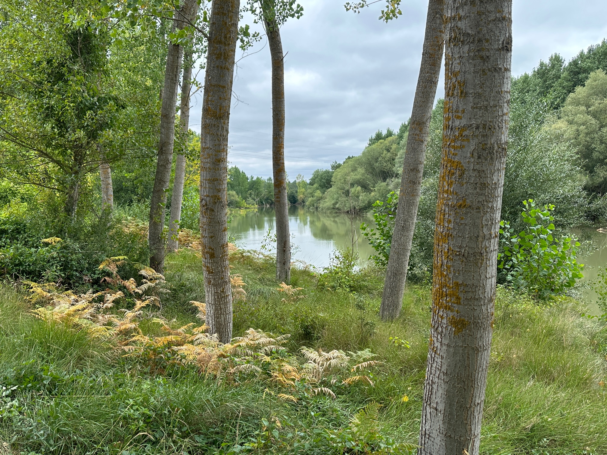 Rio Ebro por Cillaperlata